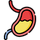 گوارش